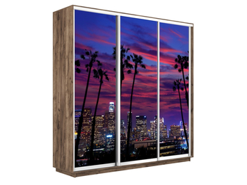Шкаф-купе Экспресс Люкс 3-х дверный (Фото №1014 Закат над городом)