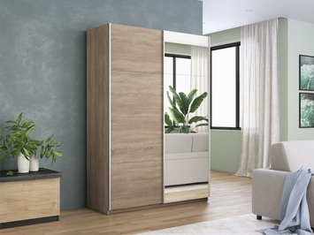 Шкаф-купе Прайм 2-х дверный (ЛДСП, зеркало)